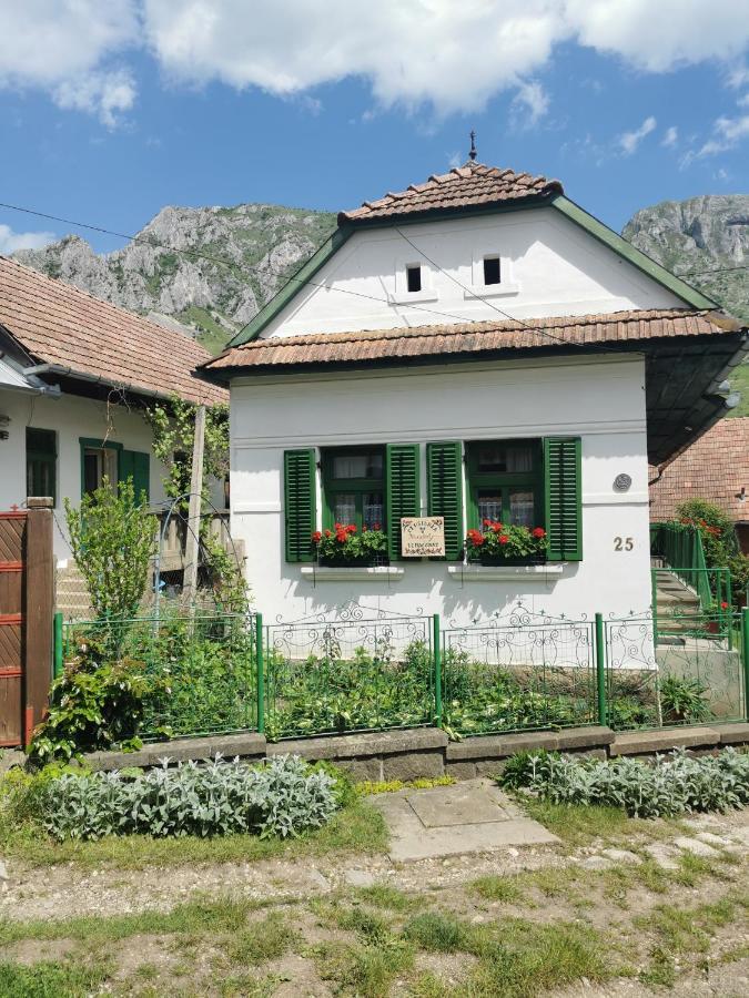 Kristaly Vendeghaz Hotel Rimetea Exterior foto